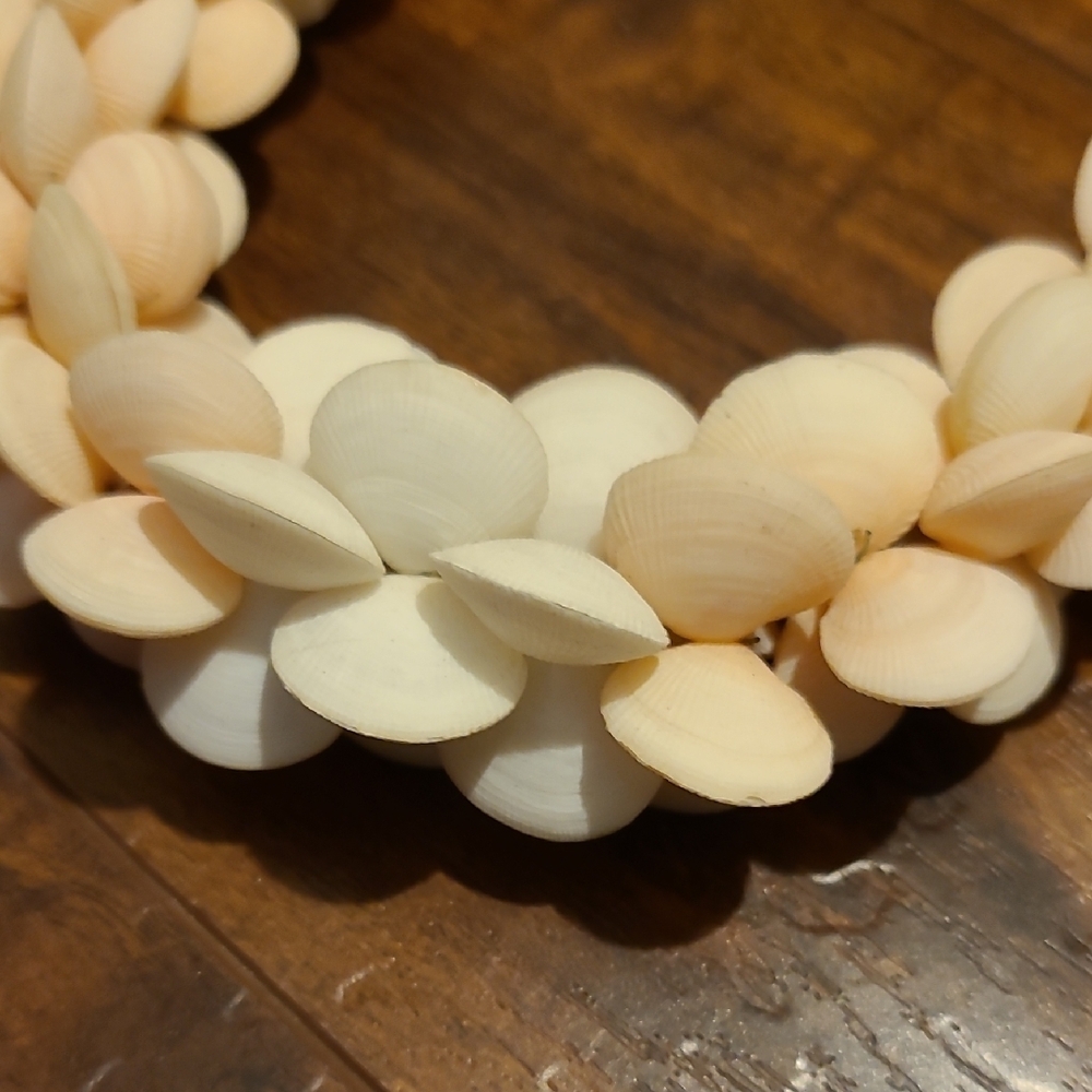 Rare Vintage Elegant Cream Shell Necklace - Picture 2 of 16